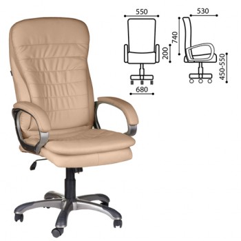 Кресло офисное BRABIX Omega EX-589 в Раздольном - razdolnoe.mebel54.com | фото